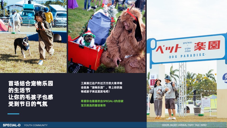 DODOPA野间微醺嘉年华一千零一夜的荒野派对活动招商方案