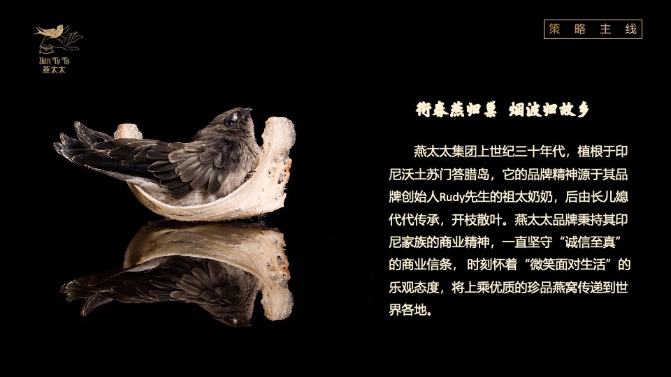 食品燕窝品牌发布会“燕归巢 · 美如初”主题活动策划方案