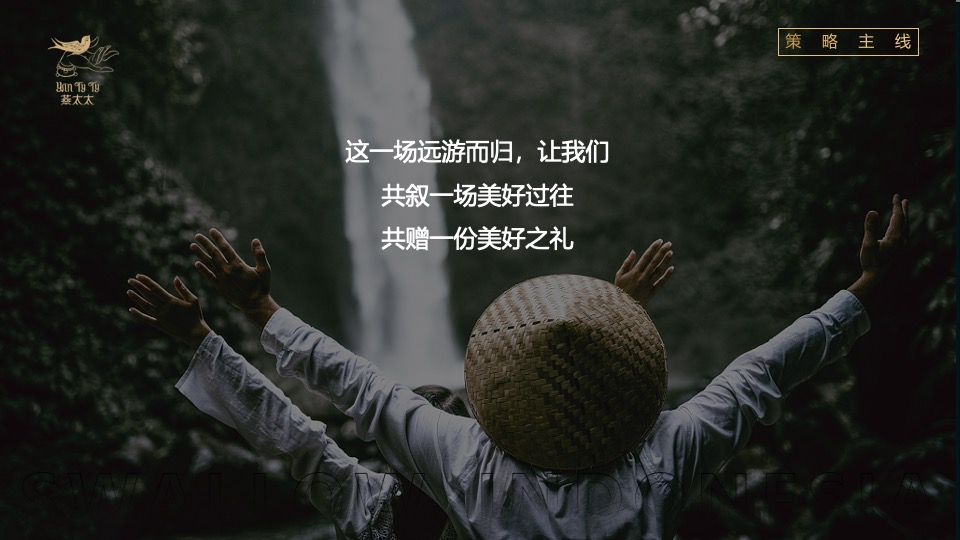 食品燕窝品牌发布会“燕归巢 · 美如初”主题活动策划方案