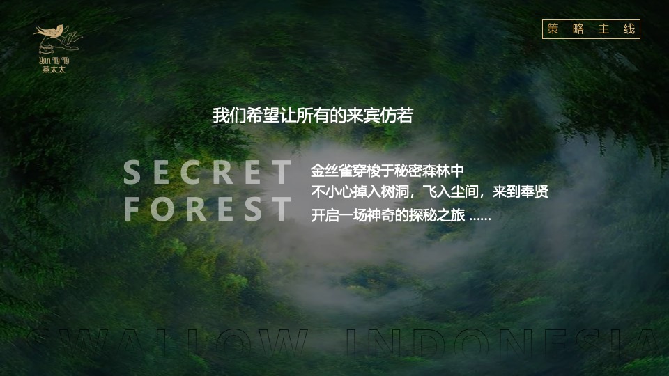 食品燕窝品牌发布会“燕归巢 · 美如初”主题活动策划方案