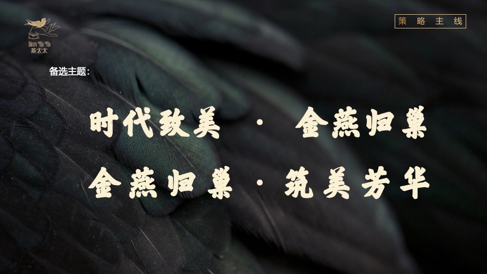 食品燕窝品牌发布会“燕归巢 · 美如初”主题活动策划方案