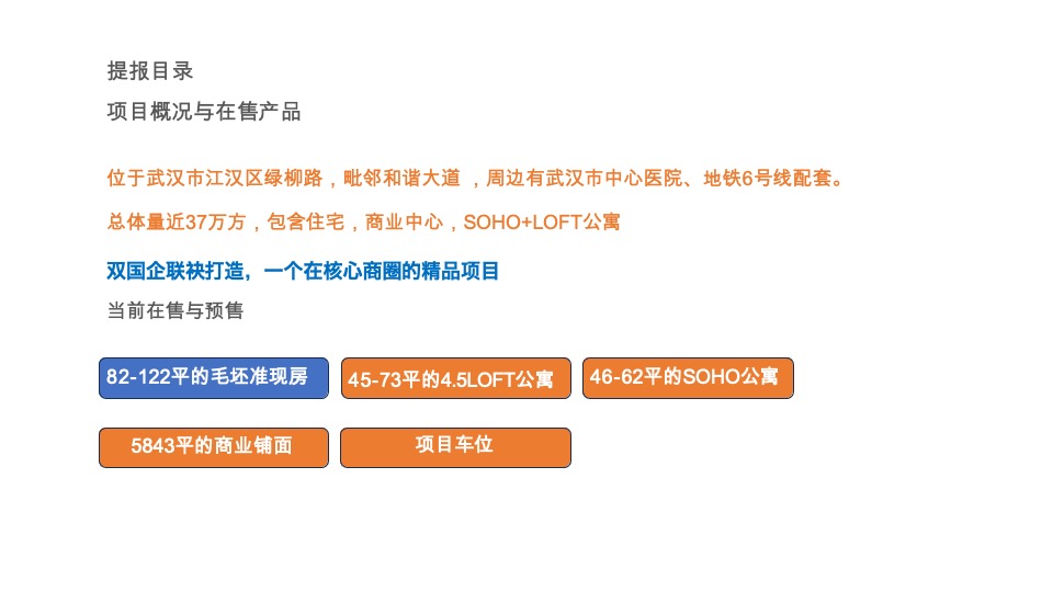 武汉城建信达·后湖里（住宅+商业+公寓）年度推广策略提报方案