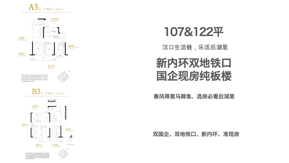 武汉城建信达·后湖里（住宅+商业+公寓）年度推广策略提报方案