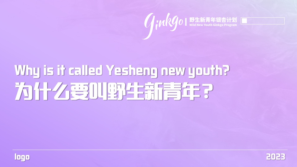 野生新青年银杏音乐节活动策划方案