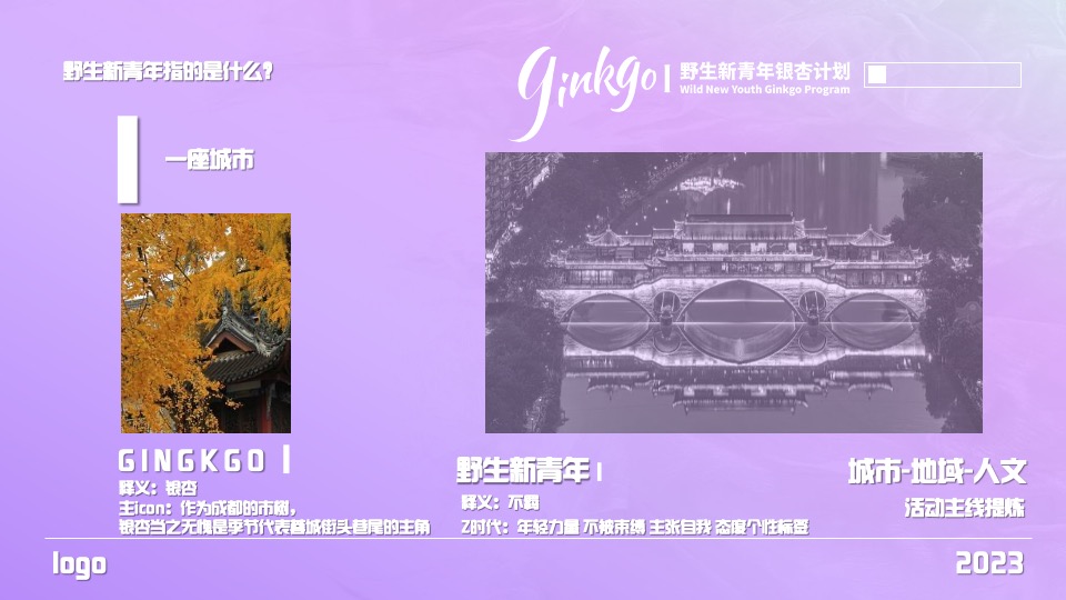 野生新青年银杏音乐节活动策划方案