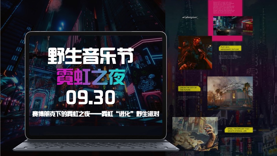 野生新青年银杏音乐节活动策划方案