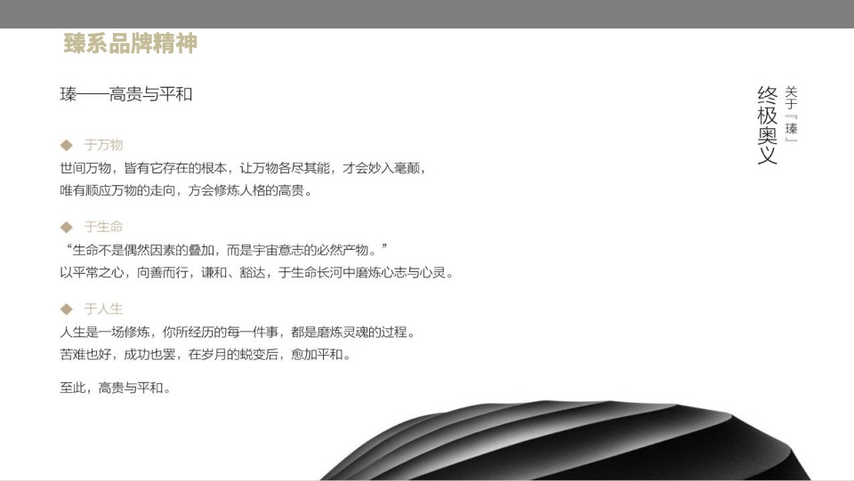 东莞华润悦系3.0作品策略思考提案#圆桌中国#