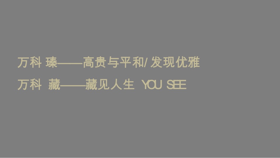 东莞华润悦系3.0作品策略思考提案#圆桌中国#