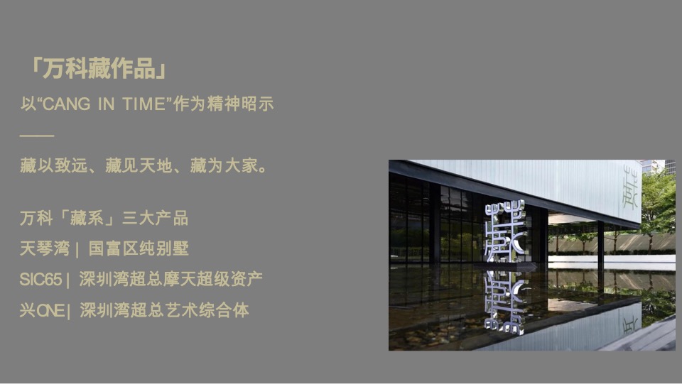 东莞华润悦系3.0作品策略思考提案#圆桌中国#