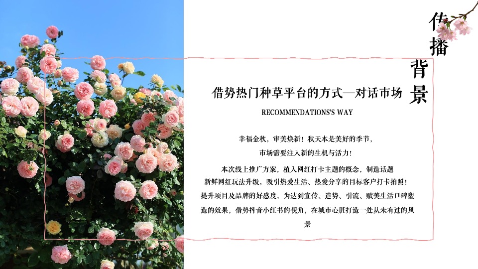 赋美生活花卉门店小红书抖音线上传播方案