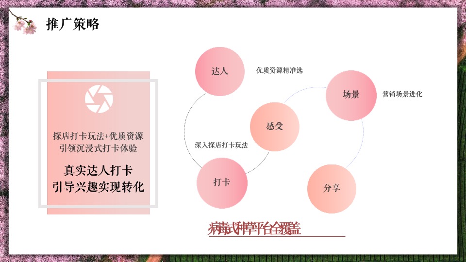 赋美生活花卉门店小红书抖音线上传播方案