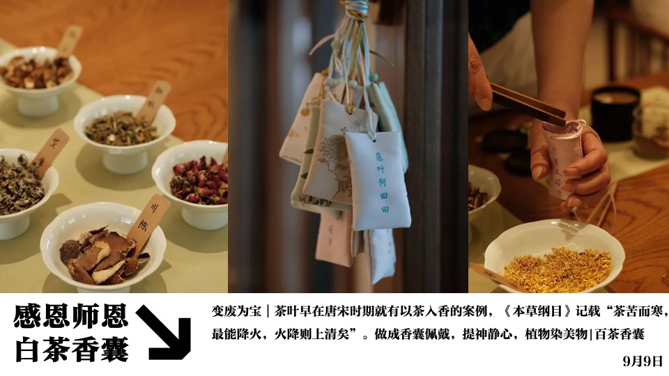 商业广场非遗闽南戏剧艺术节（乐海有戏主题）活动策划方案