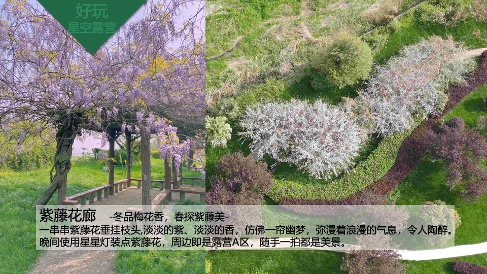 文旅公园星空露营节系列（好玩一夏主题）活动策划方案