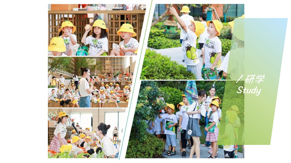 开学第一课植物研学暑期夏令营（万物生长·觅秘向往主题）活动策划方案