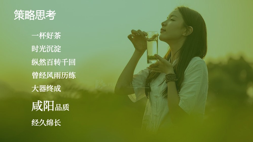 中国咸阳第十二届茶叶博览会（源聚咸阳·茶和天下主题）活动策划方案