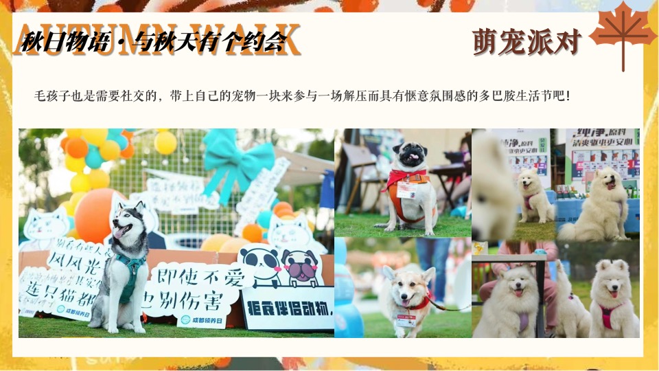 文旅景区营地秋日露营市集系列（秋日捕捉计划主题）活动策划方案