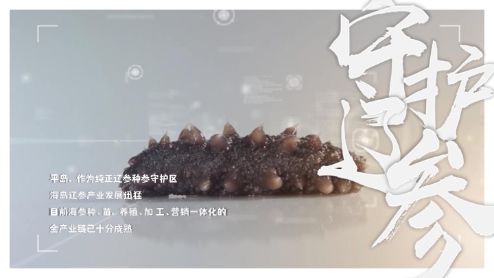 平岛项目内容规划及运营策划案 #海岛文旅#