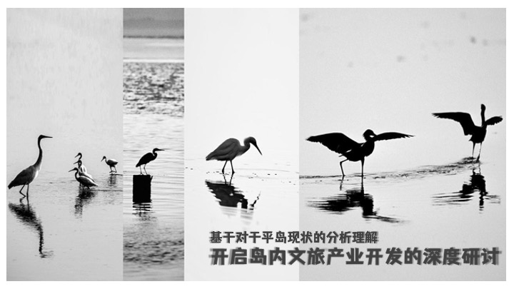平岛项目内容规划及运营策划案 #海岛文旅#
