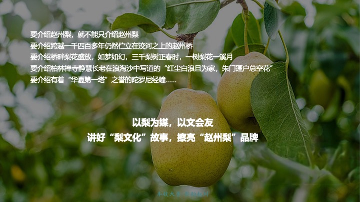 第四届梨产业丰收节暨梨果产业推介会活动策划方案
