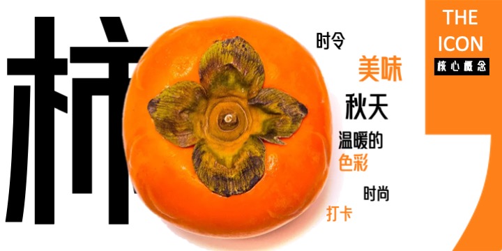 商场地产金秋城市美好生活节（秋里有好柿主题）活动策划方案