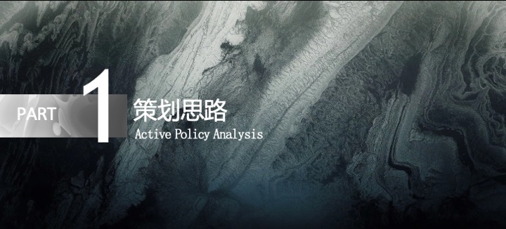 地产项目新品发布会（新潮澎湃·美好致新主题）活动策划方案