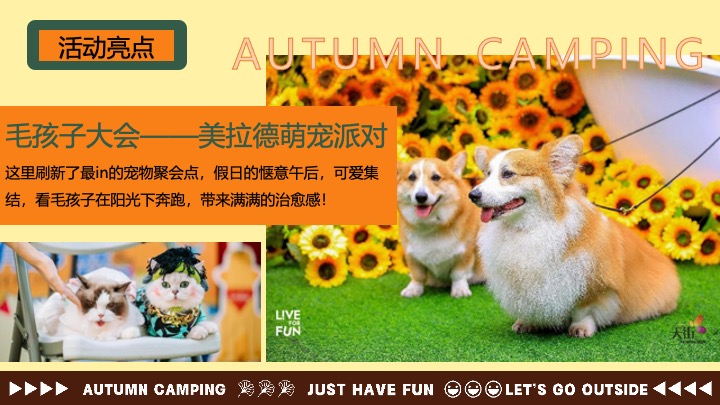 文旅景区秋日美拉德复古生活节（野在秋风里主题）活动策划方案