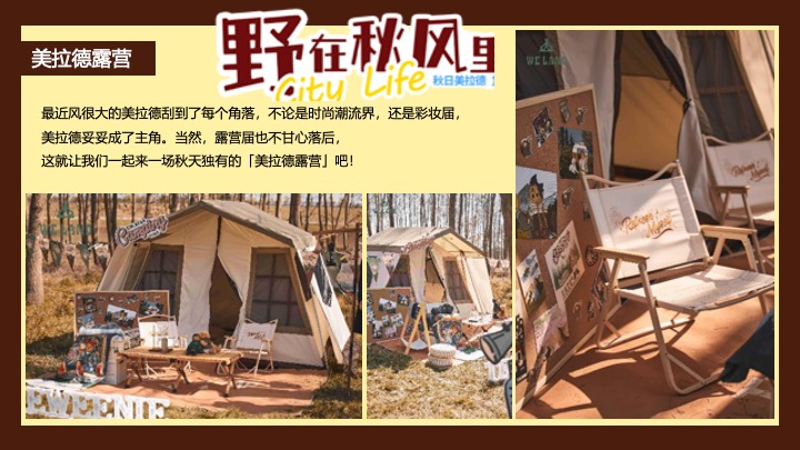 文旅景区秋日美拉德复古生活节（野在秋风里主题）活动策划方案