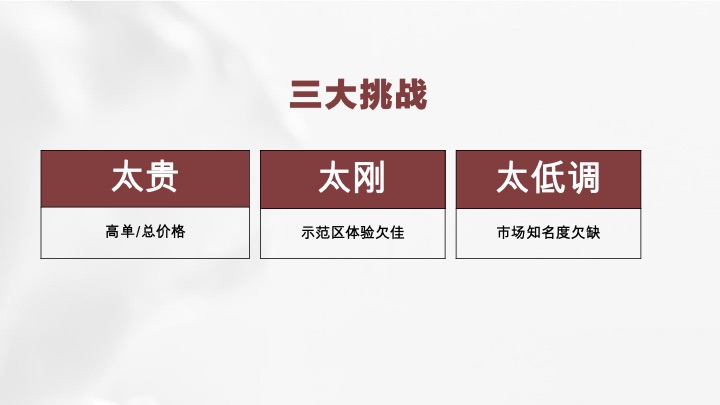 武汉月湖云庄年度推广策略提报 #双国企#