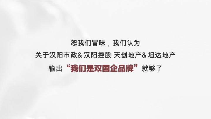 武汉月湖云庄年度推广策略提报 #双国企#