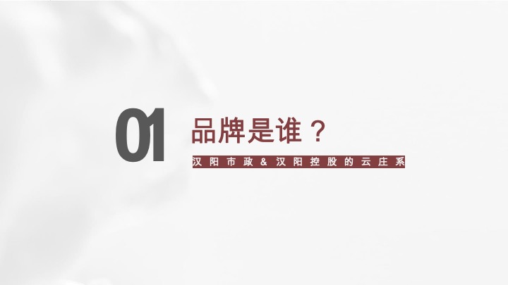 武汉月湖云庄年度推广策略提报 #双国企#