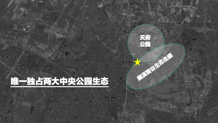 华发&华润·天府公元推广策略提报 #成都# #公园# #大平层#