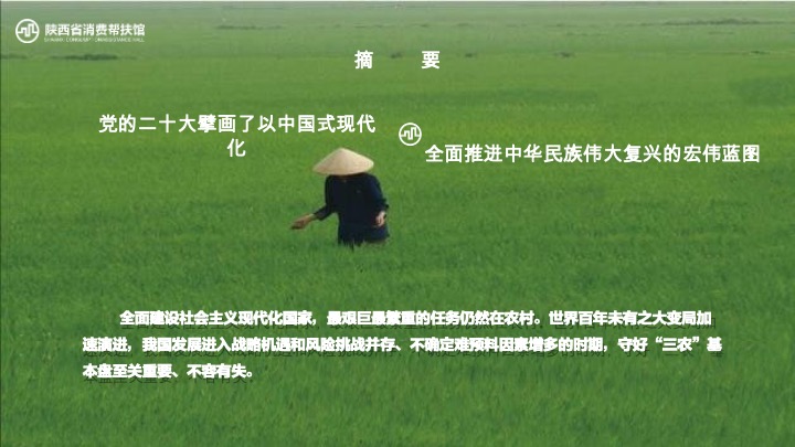首届陕西省乡村振兴高质量发展论坛策划方案