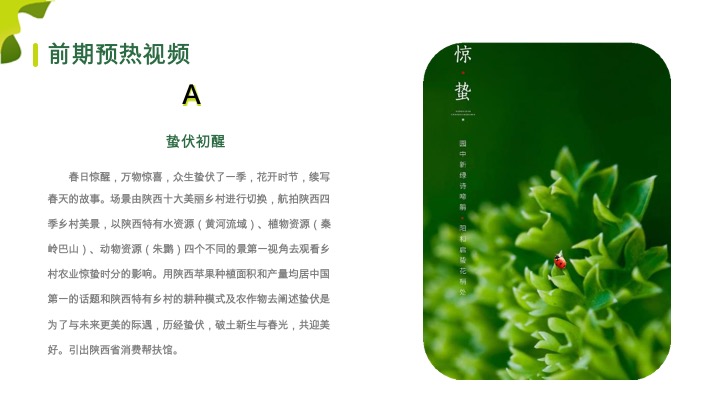 首届陕西省乡村振兴高质量发展论坛策划方案