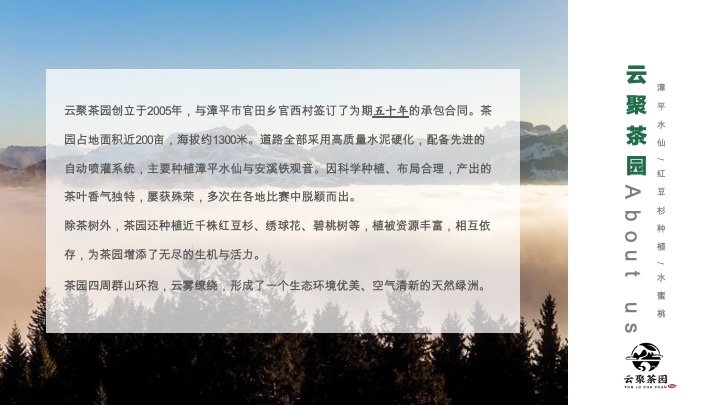 野奢生活云聚茶园招商方案