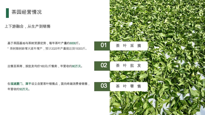 野奢生活云聚茶园招商方案