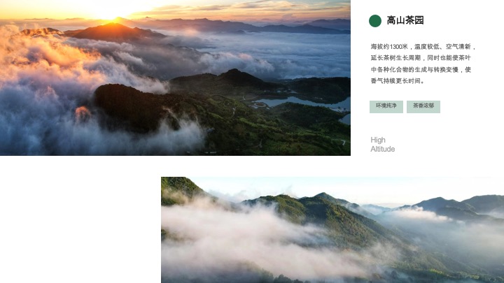 野奢生活云聚茶园招商方案