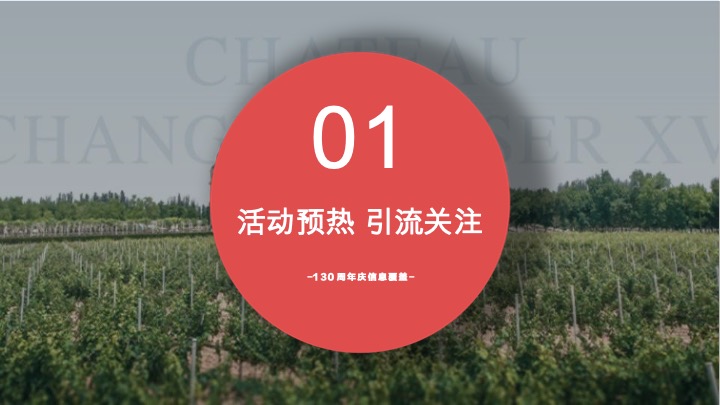张裕葡萄酒130周年庆营销方案