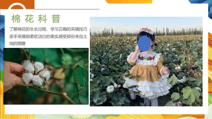 秋收棉花主题研学（秋日棉棉·FUN享快乐主题）活动策划方案