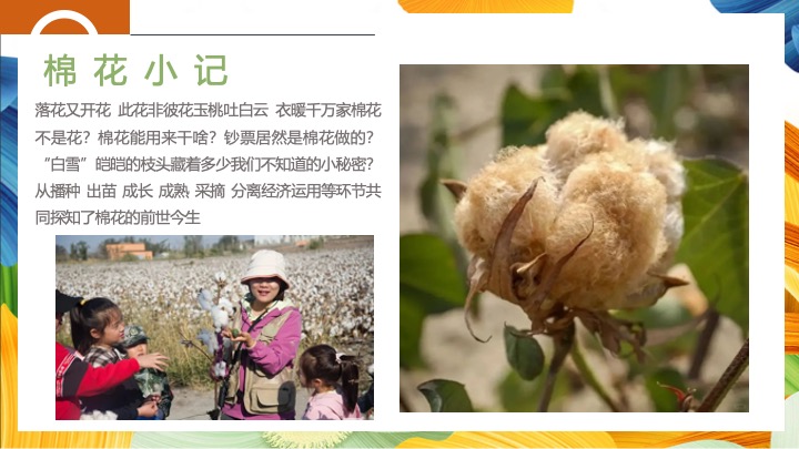 秋收棉花主题研学（秋日棉棉·FUN享快乐主题）活动策划方案