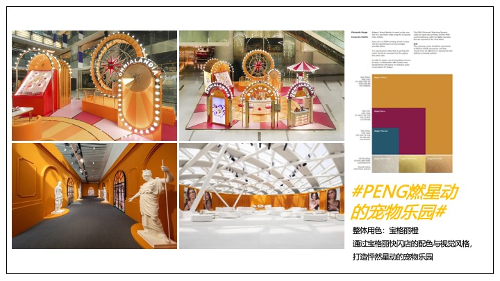 购物中心宠物友好场景打造方案