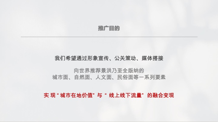 西双版纳城市文旅年度宣传推广案