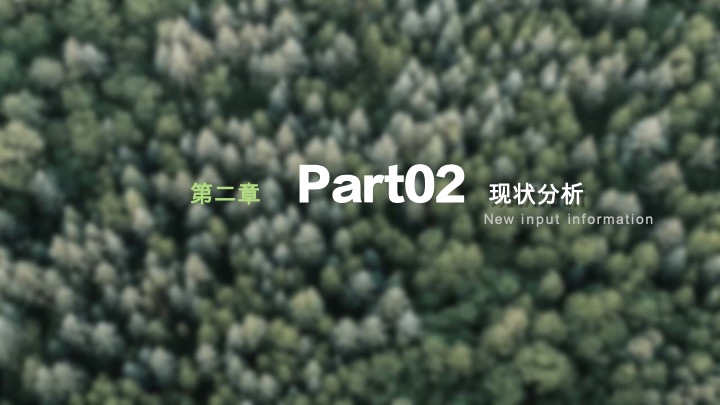 温州乐清星空旷野营地露营度假方案