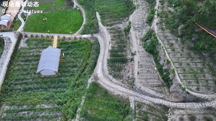 温州乐清星空旷野营地露营度假方案