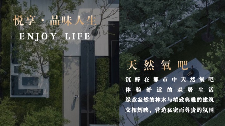 地产项目示范区开放暨名仕晚宴（际会塔尖·宴酬知己主题）活动策划方案