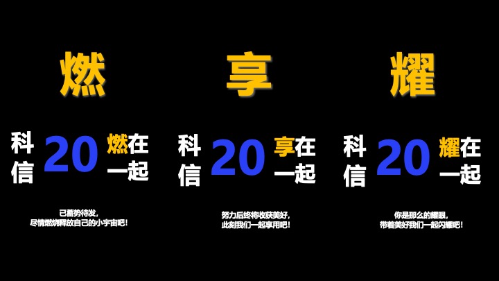企业公司20周年庆典（同心同行·携手共赢主题）活动策划方案