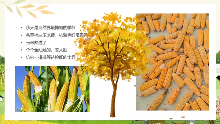 秋日玉米主题田园研学之旅（田野玩趣·玉你想见主题）活动策划方案