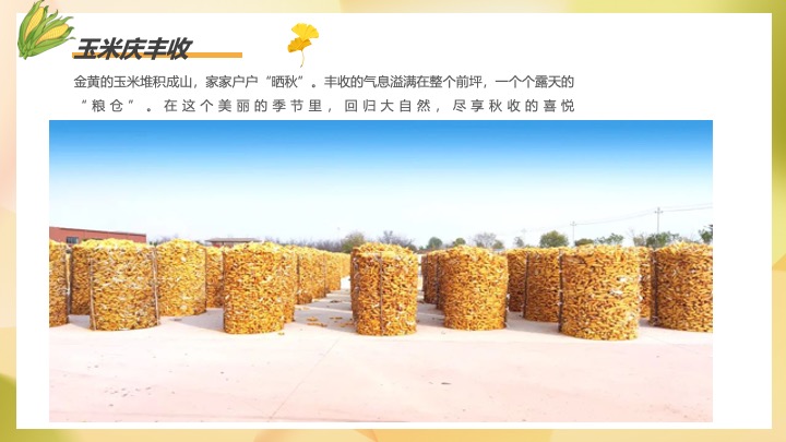 秋日玉米主题田园研学之旅（田野玩趣·玉你想见主题）活动策划方案