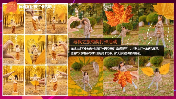 地产项目秋季枫叶主题暖场（秋日私语主题）活动策划方案