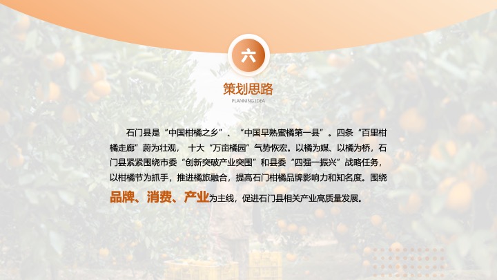 文旅景区柑橘节暨金秋消费季活动策划方案