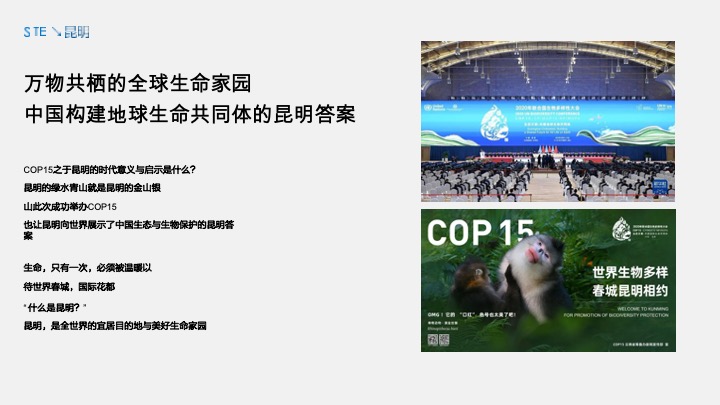 华夏阳光·四季&澜台府双子年度推广提报 #昆明# #收官# #清盘#